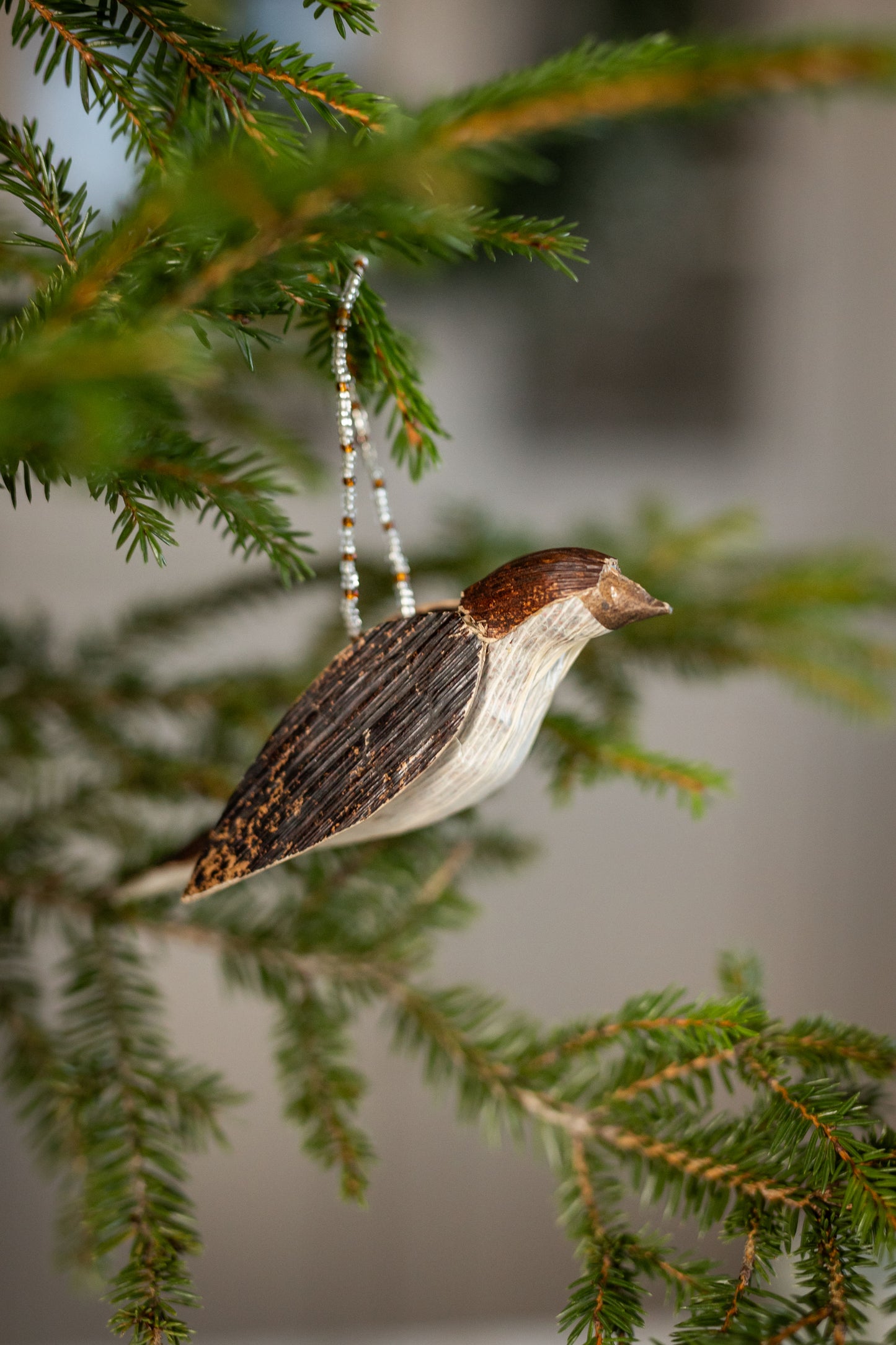 Sparrow